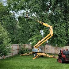 Professional Tree Removal and Landscaping Services in Atkins, VA